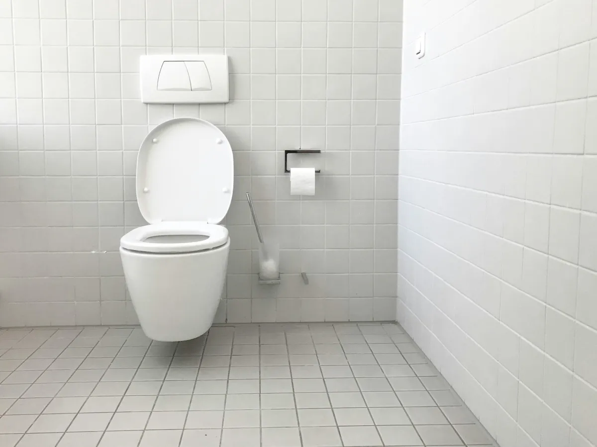 How to Remove Hard Water Stains in Your Toilet Bowl