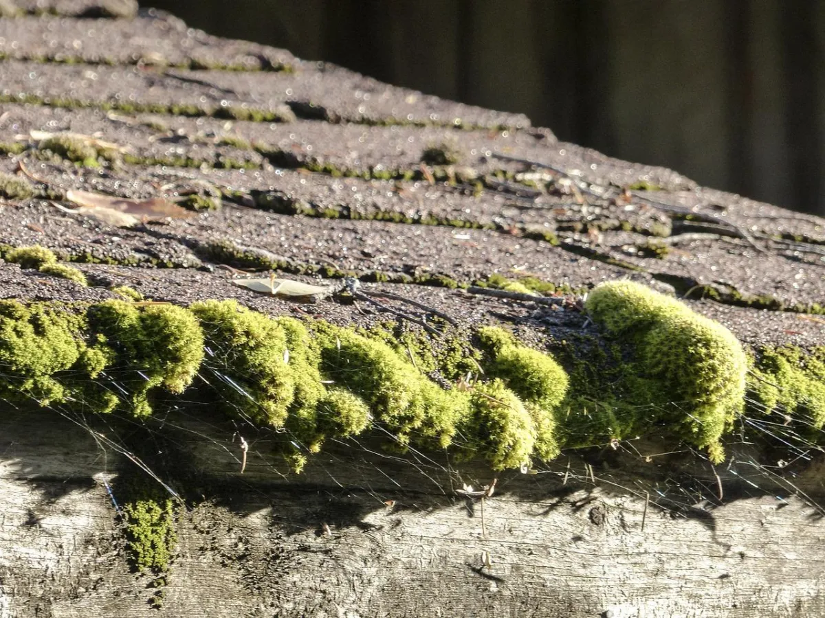 Did You Know Your Asphalt Shingles Won't Last More Than 15 Years...... Unless You Protect Your Roof with GoNano?