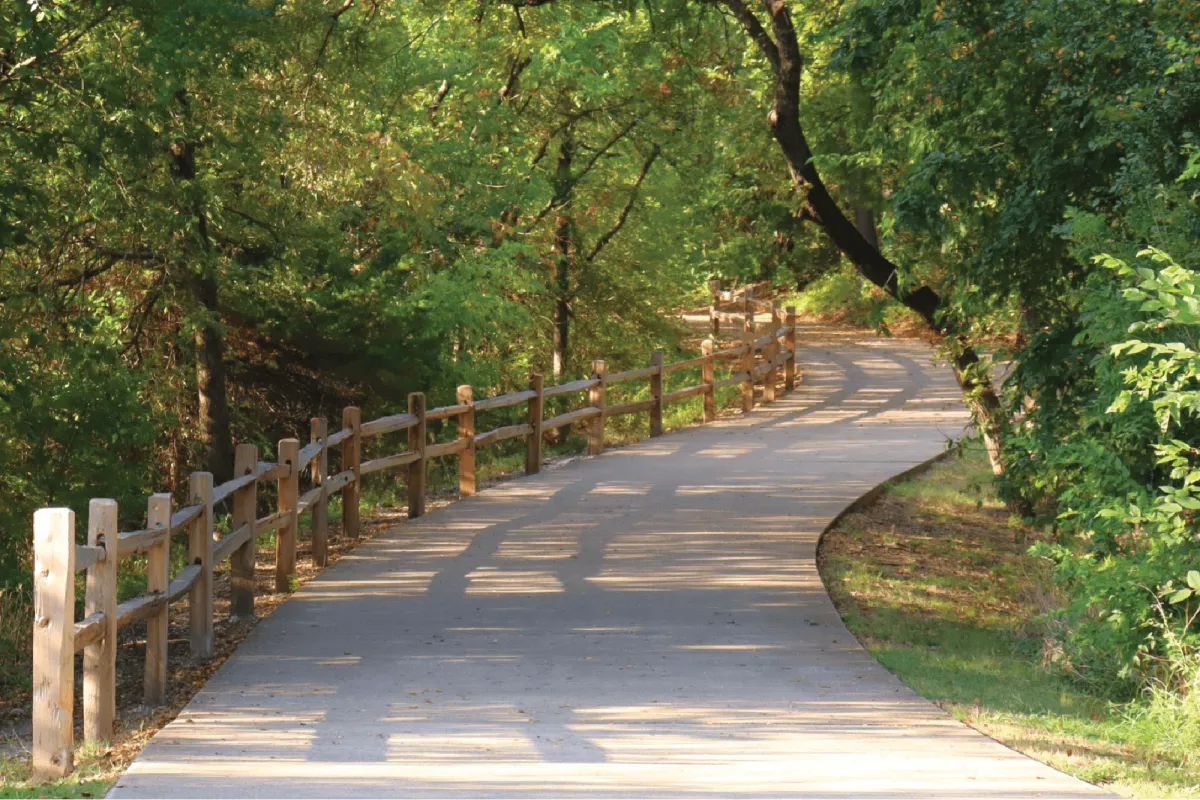 Organize a walk or a hike with family and friends.