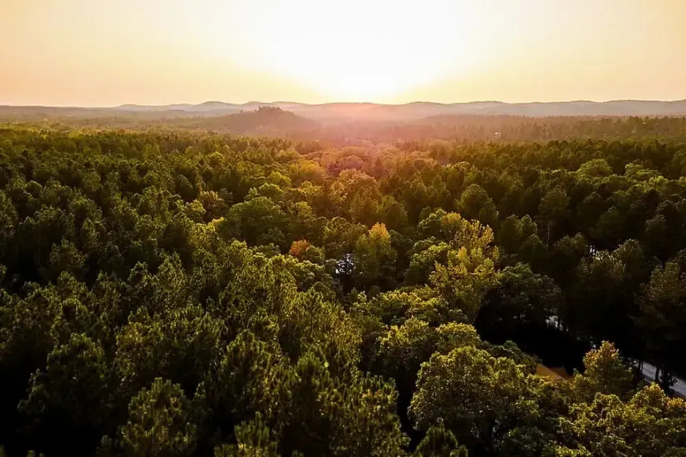 Serene sunset over forested hills, capturing nature's tranquil beauty.