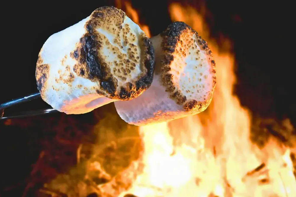 Roasting marshmallows over a glowing campfire during a serene night.