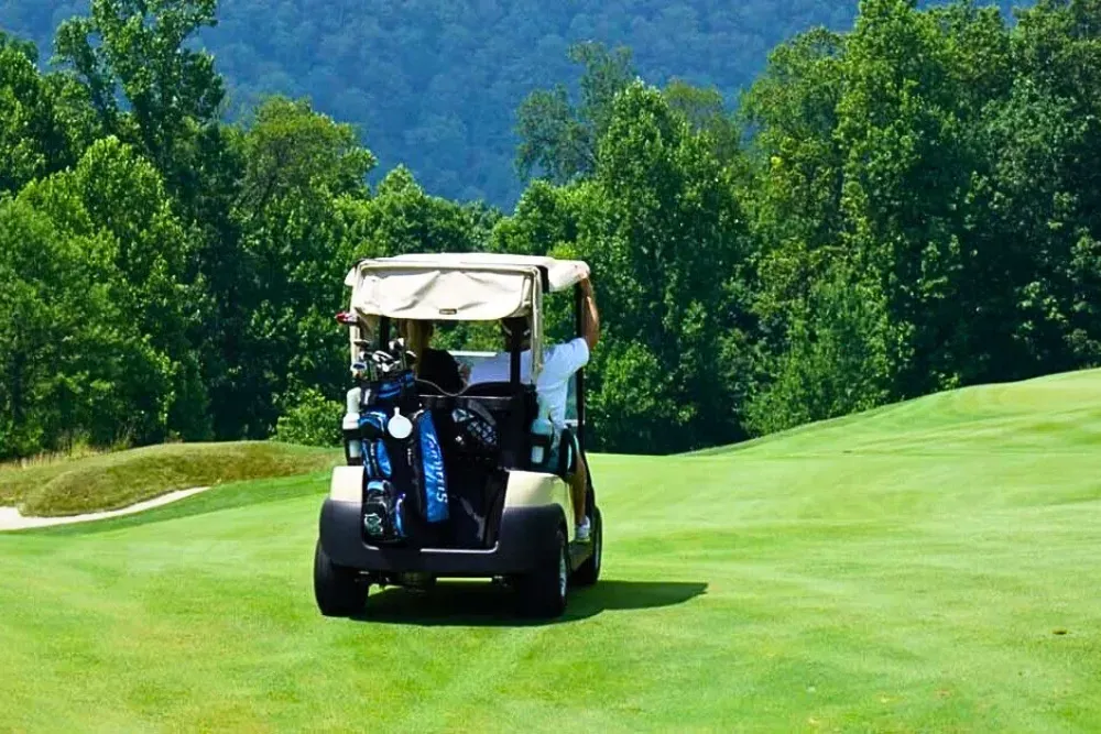 Golf cart on lush green course with scenic forested backdrop.