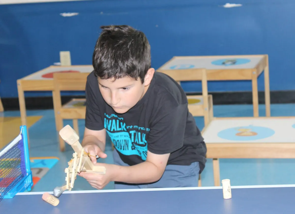 Brain Growth and Cognitive Development: From Birth to Adulthood