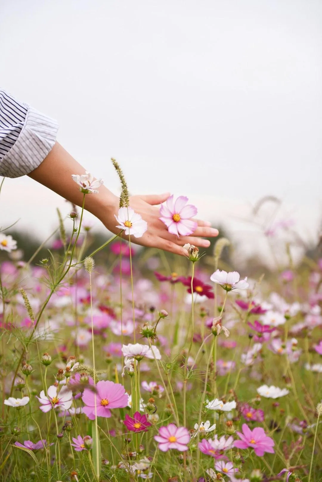 Flowers and connection with nature