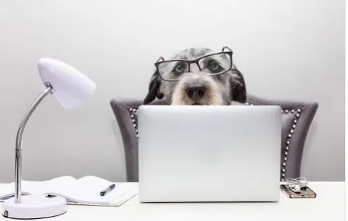 5 Daily Habits to Boost Your Productivity