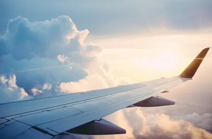 Travel Survival Kit for Gut Issues 