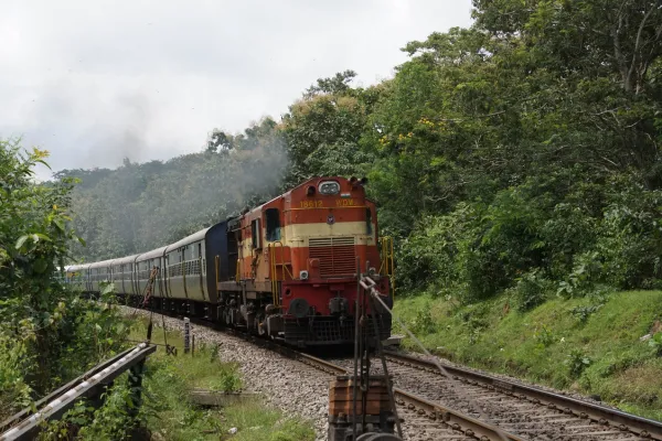 train