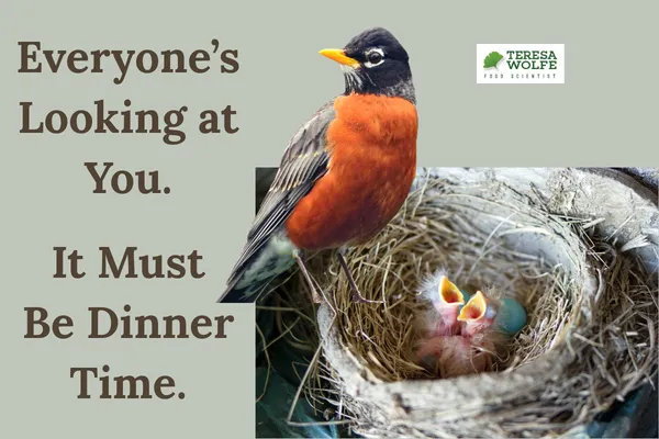 Everyone’s Looking at You. It Must Be Dinner Time | Food Decision Fatigue