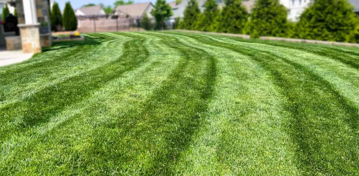 green, healthy lawn in College Grove, Tennessee