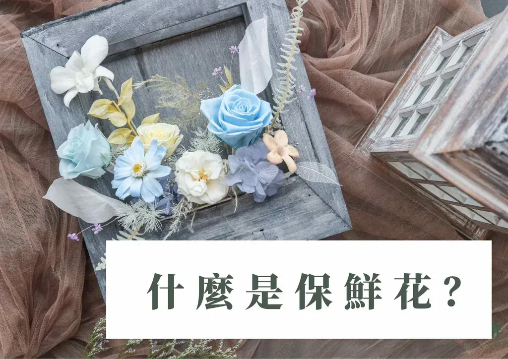 保鮮花、永生花、保鮮花是什麼、保鮮花保存期、保鮮花花藝、保鮮花作品