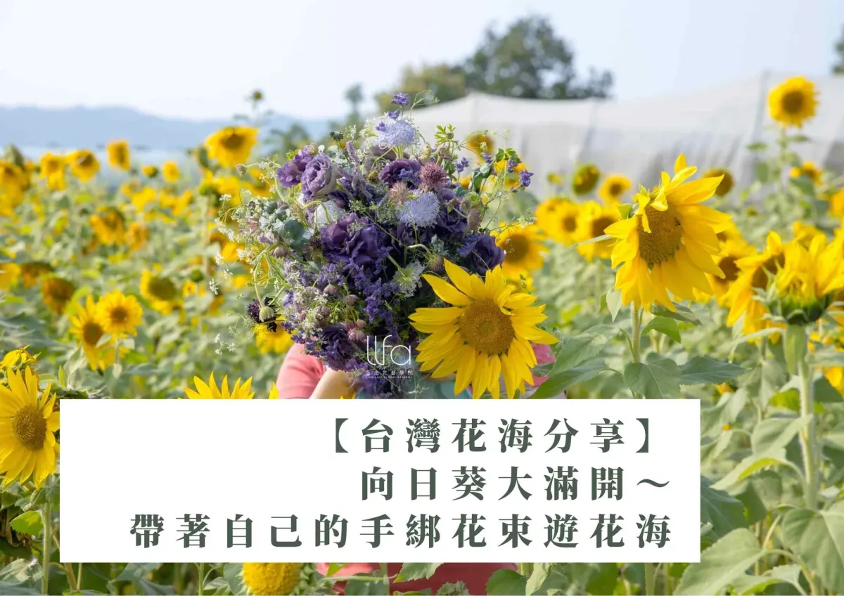 【台灣花海】向日葵大滿開～帶著自己的手綁花束遊花海#
