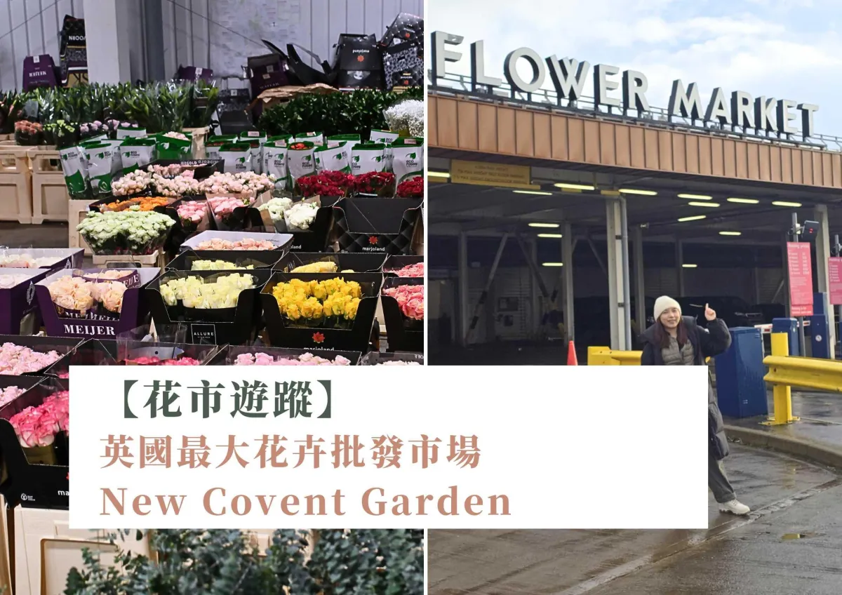 【花市遊蹤】英國最大花卉批發市場 New Covent Garden：倫敦花藝人的最愛#49