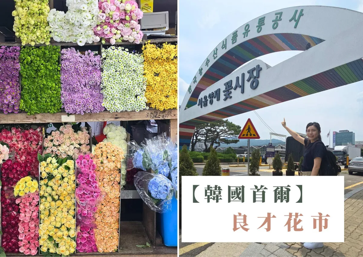 韓國良才花市探險記  | 花藝老師的快閃採購之旅#62