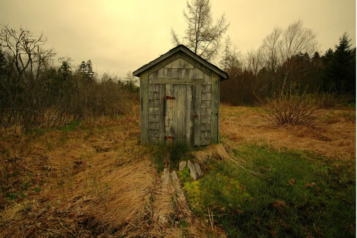 The Mindset Woodshed – a parable for our times Image