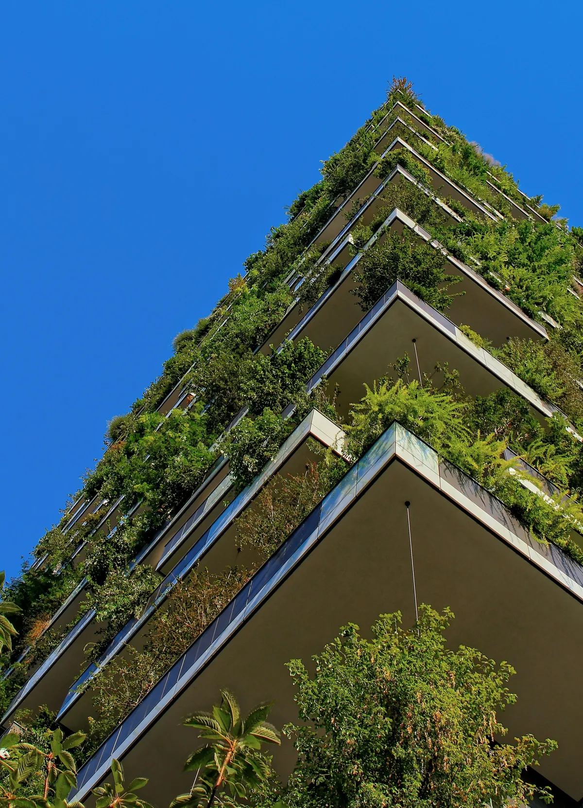 green building practices