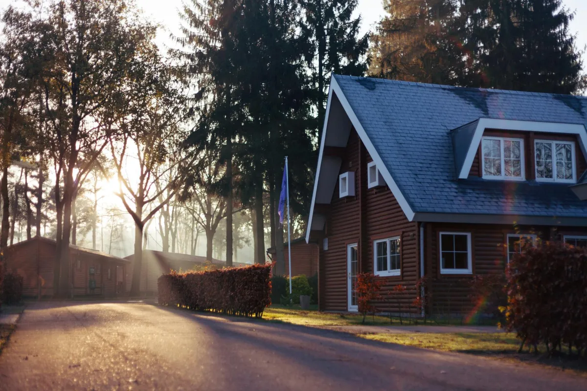 Scenic view of a boutique custom home surrounded by trees, with soft morning sunlight casting a warm glow over the driveway and property.