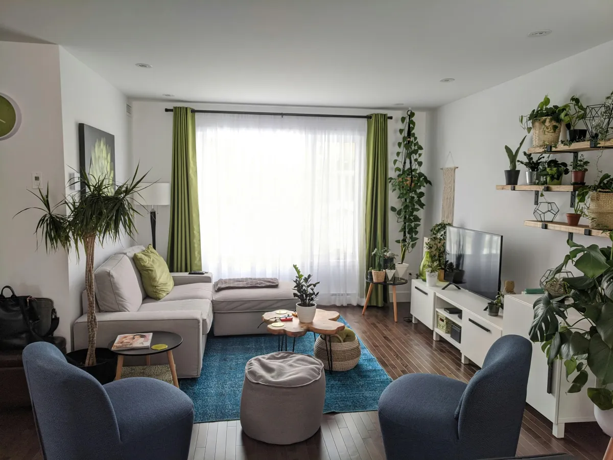 Green Living Starts Here: A Guide to Sustainable Home Design