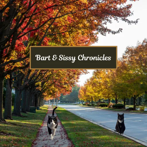 Black-and-white cats Bart and Sissy on a quiet fall street, with red and yellow trees and a centered label that says ‘Bart & Sissy Chronicles.