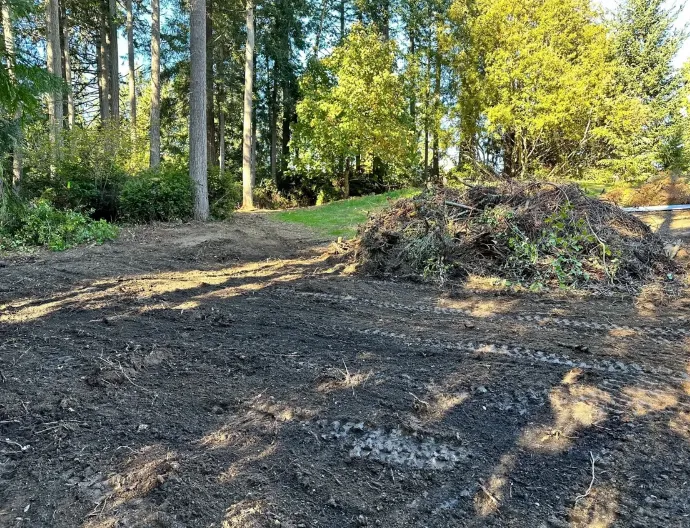 Land Clearing Service Near Kitsap County