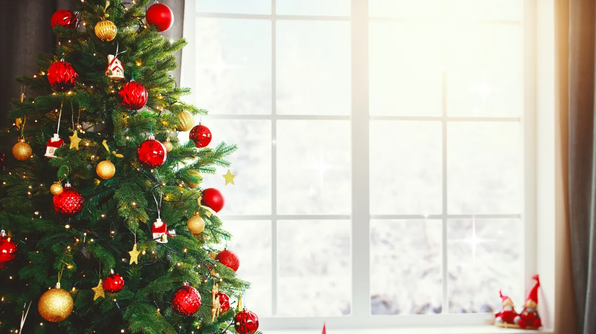 Professional Window Cleaning Tips to Make Your Home Sparkle Like Christmas Lights