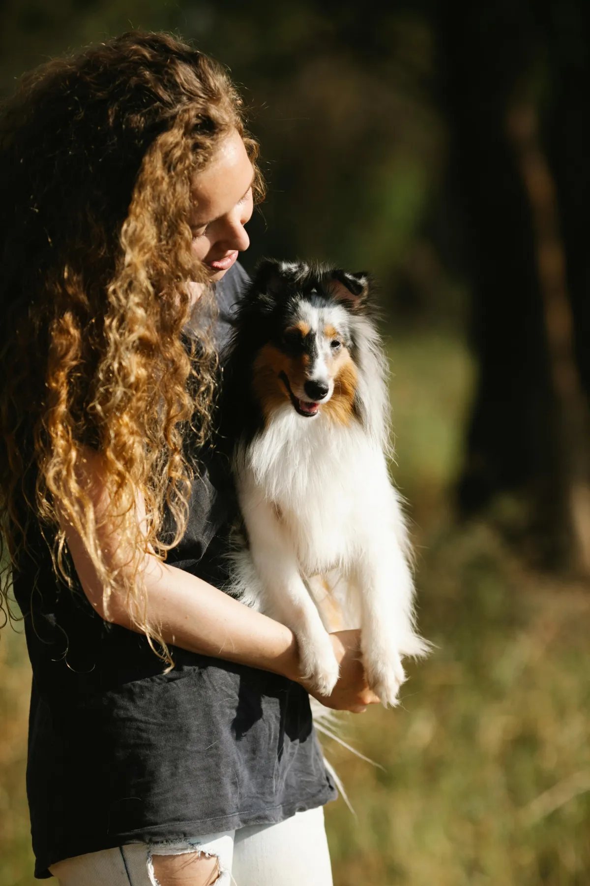 Want Your Pet to Live Happily Ever After? Here’s How!
