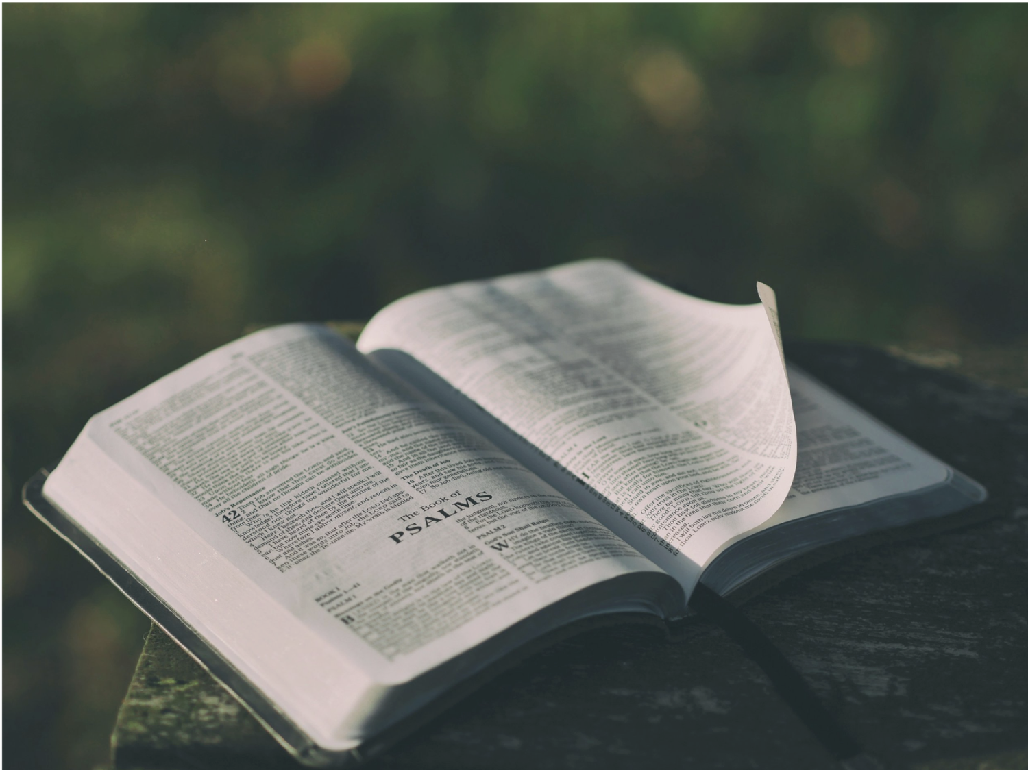 Embracing Our Role in God’s Story: Rediscovering the Center