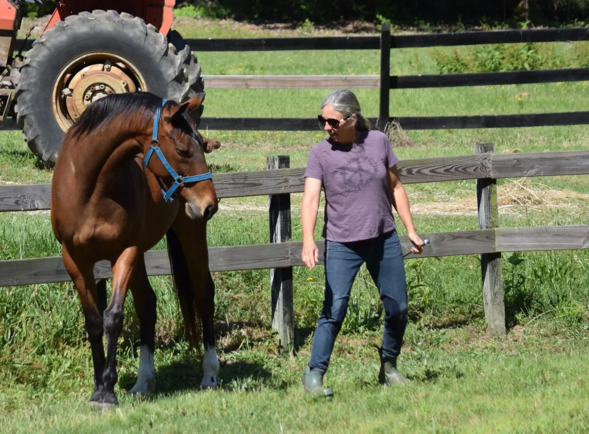 Speaking the Horse's Language