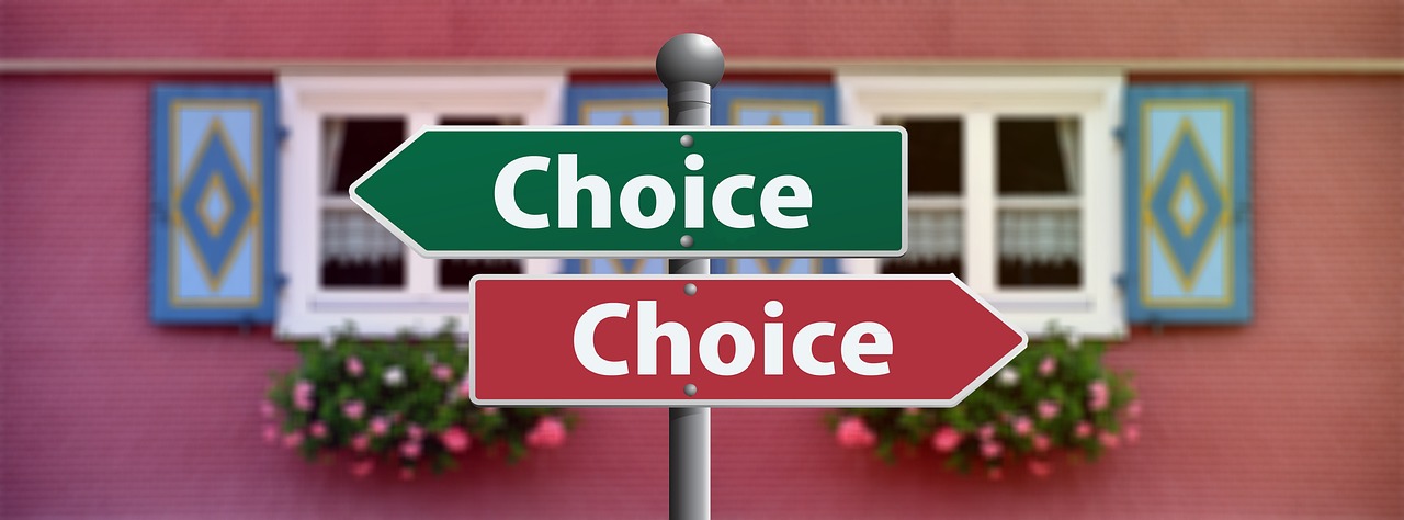 How to choose junk removal or dumpster rentals