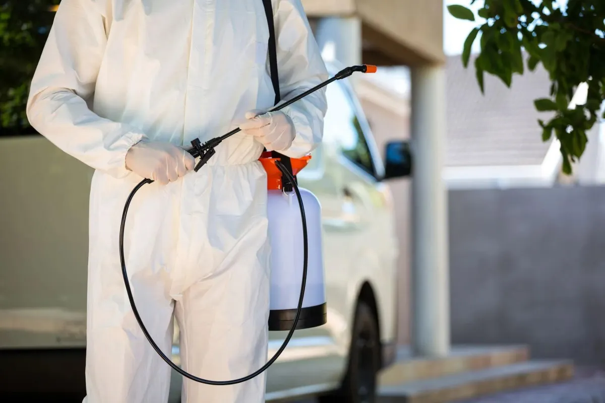 Comprehensive Guide to Termite Inspection Services in Midlothian