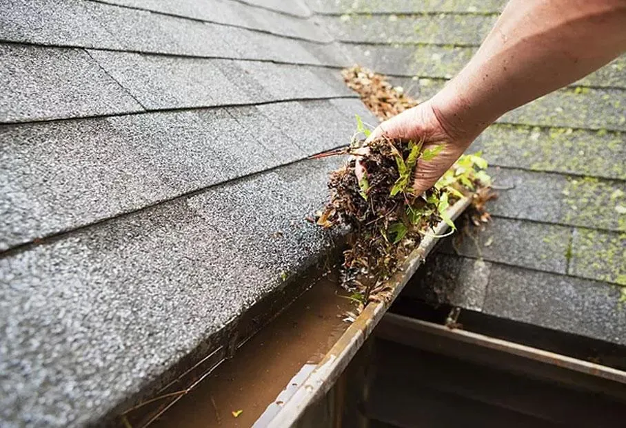 gutter cleaning Maldon Essex