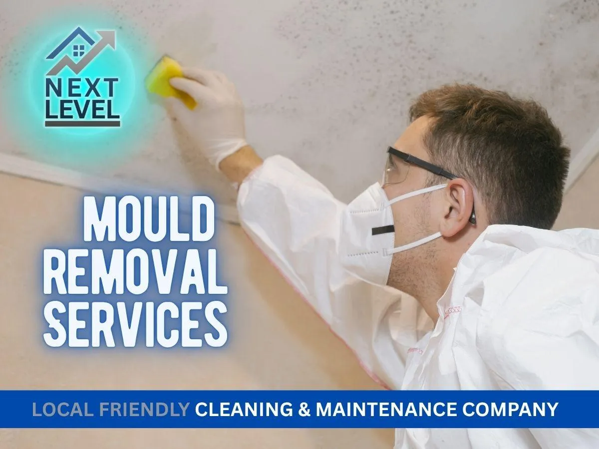 Mould Removal in Essex How to Stay Compliant