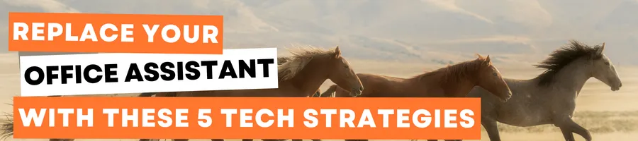 Horse Biz Habits