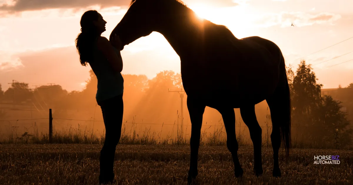 Silhouette of a woman and a horse in a field at sunset, symbolizing trust and serenity