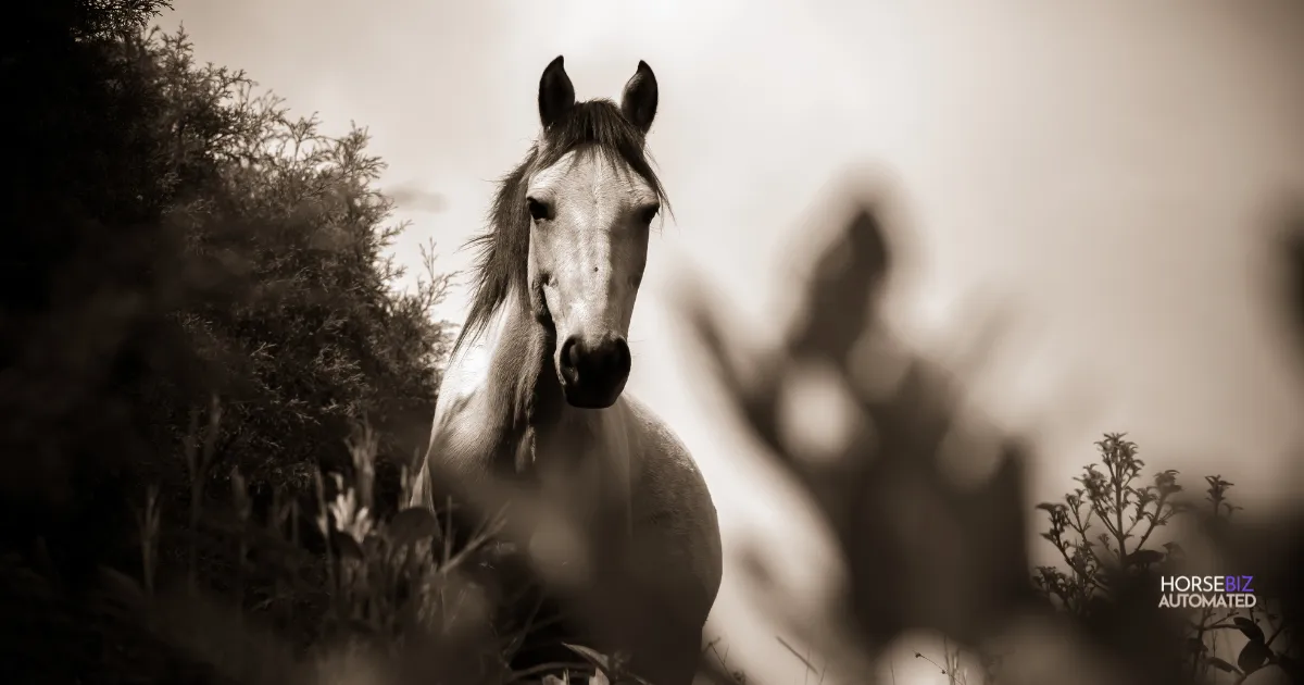 Horse in grass