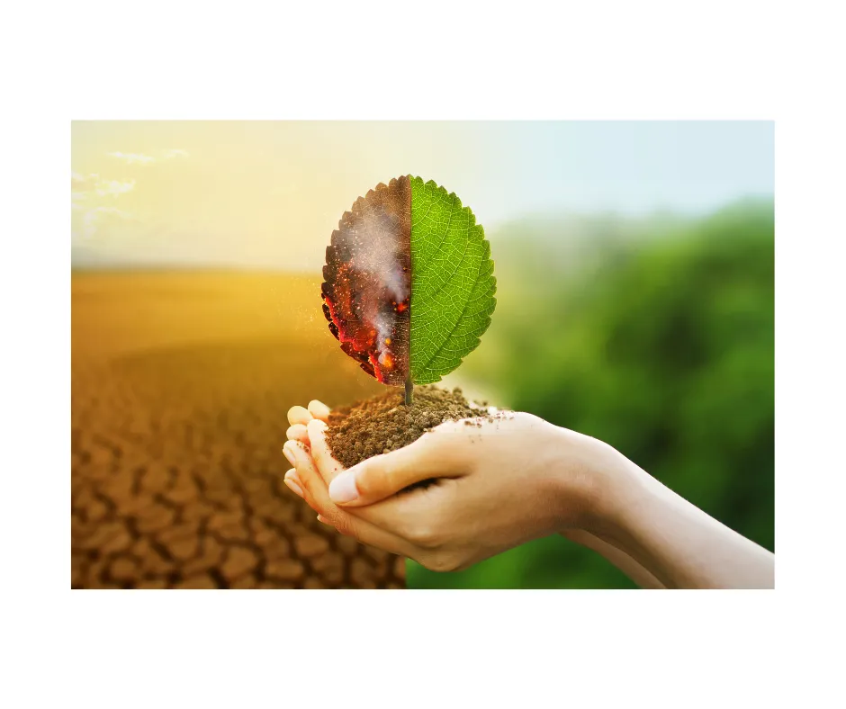 brown and green leaf