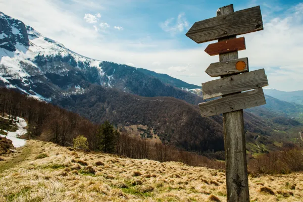 effective discipling