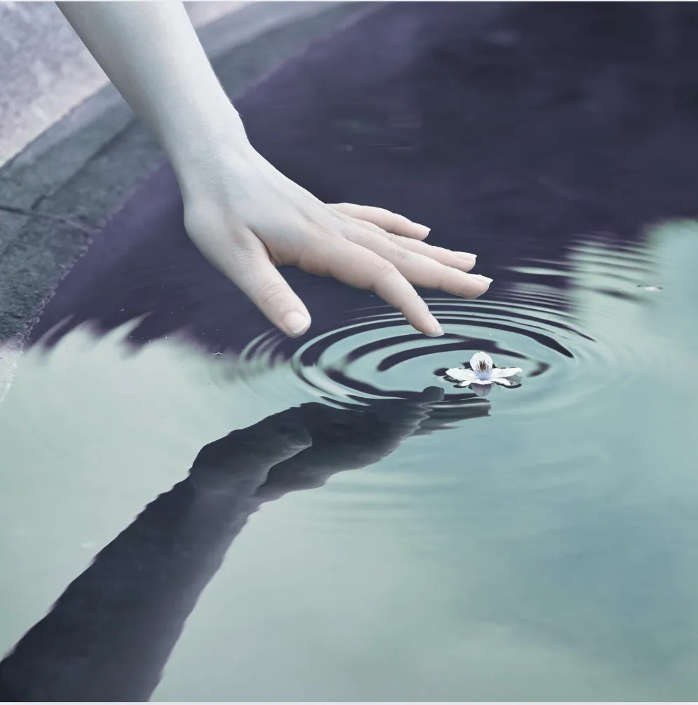 The Ripple Effect
