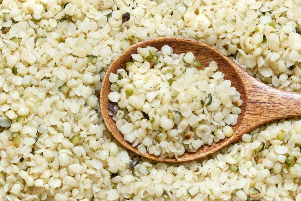 Tanya’s Simple Homemade Hemp Milk Recipe & the Extraordinary Virtues of Hemp Seeds