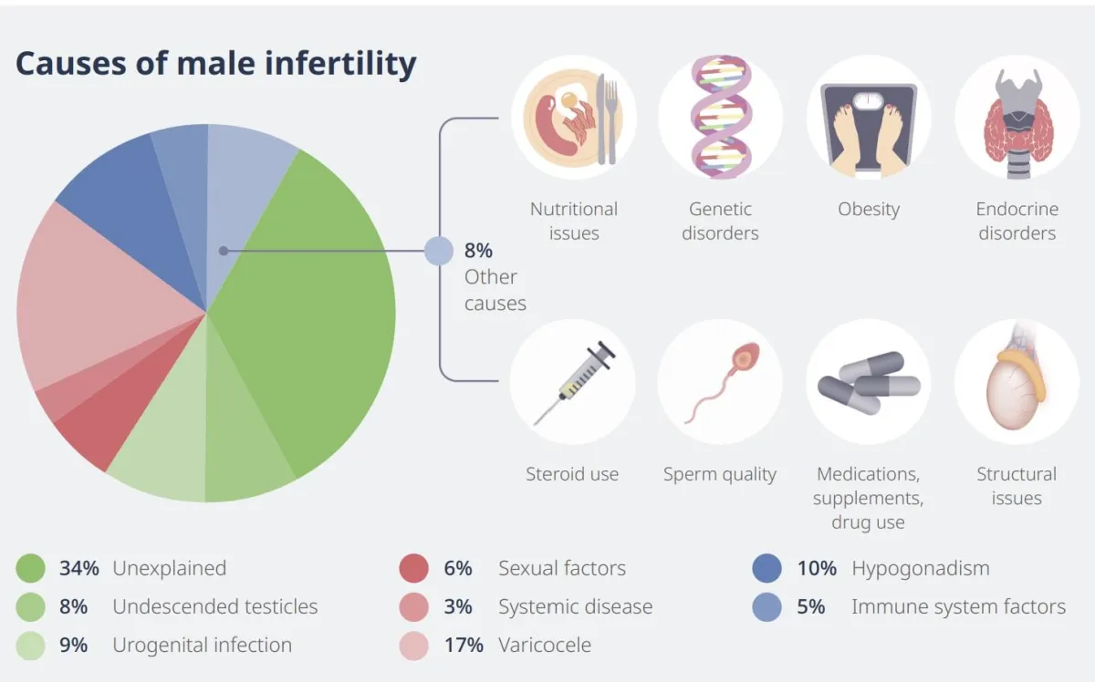 Male infertility causes
