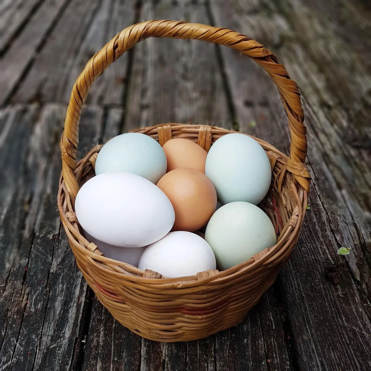 10 Reasons I Eat the Same Breakfast Every Day