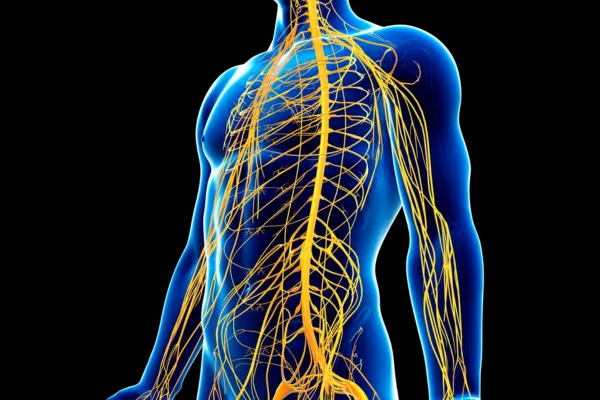 Massage table in Crossroads spa; soft lighting enhances relaxation, showcasing massage effects on nervous system for stress relief. in Bellevue