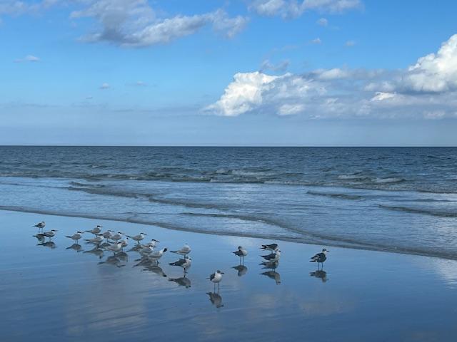 WELCOME TO QUIET EXPANSION