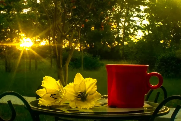 Coffee cup in nature