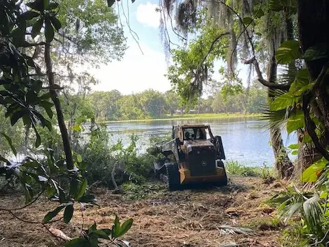 Spring Root Inspection After Flooding in Chalmette LA