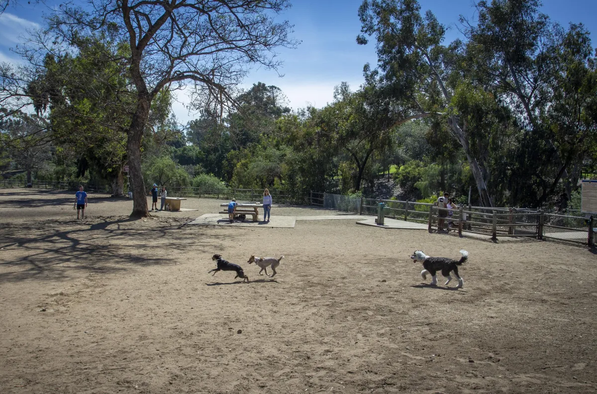 San Diego's Best Dog Parks