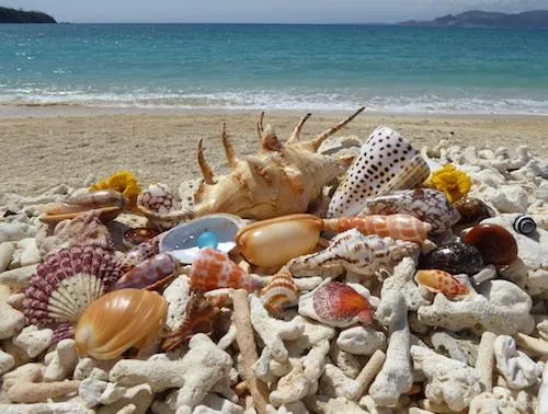 Beach combing treasures