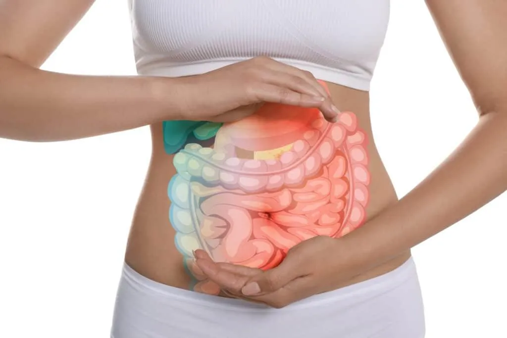 How Gut Health Affects Your Overall Health