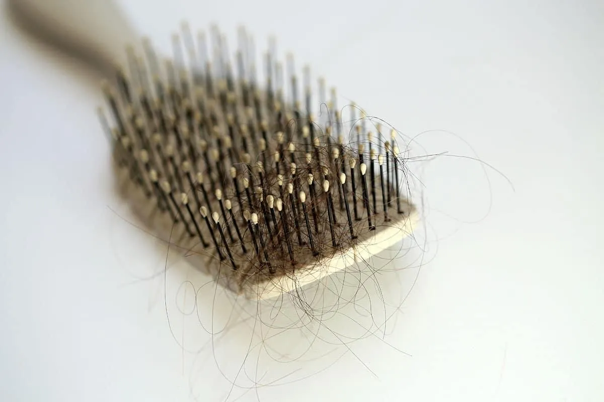 What Really Causes Hair Loss?