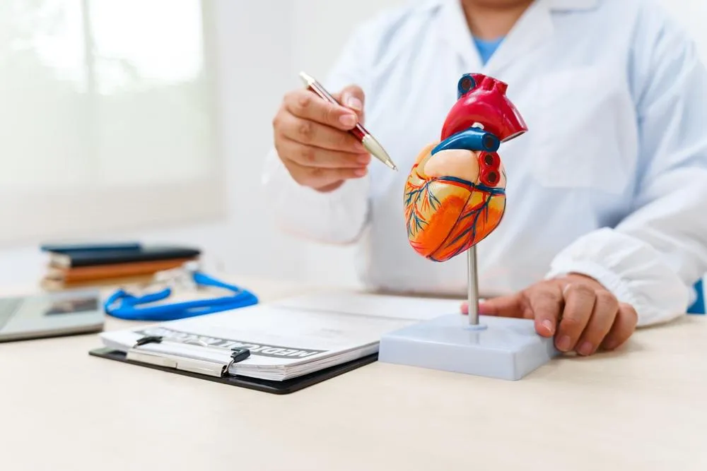 Business Attorney for Cardiologists: Contracts, Partnerships, and Entity Structuring Options