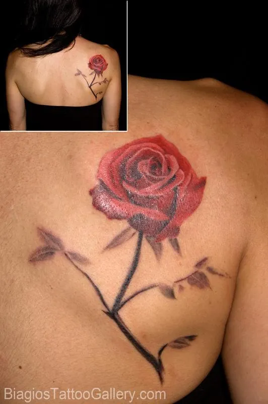 Red Rose on Grayscale stem